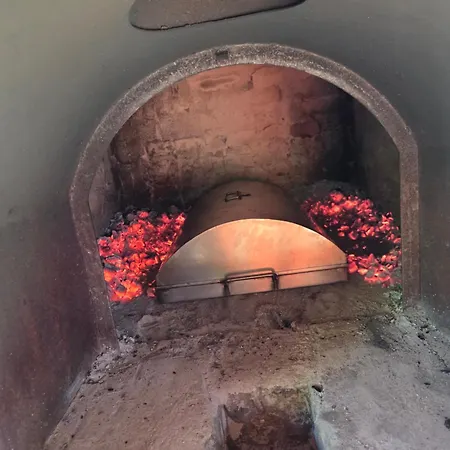 Zsunypatak Palóc * Nagyloc